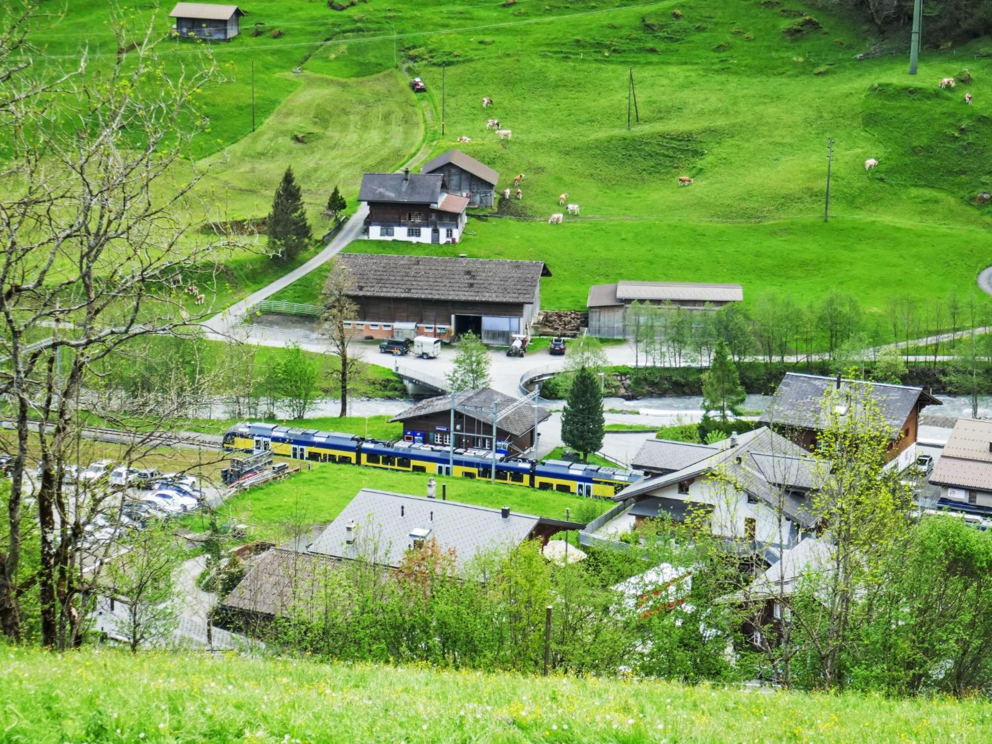 Apartment Chalet Auf Dem Vogelstein-2 By Interhome Grindelwald Esterno foto